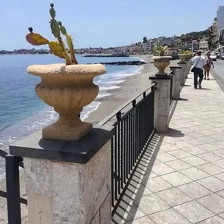 Le Conchiglie Di Venere-venus *